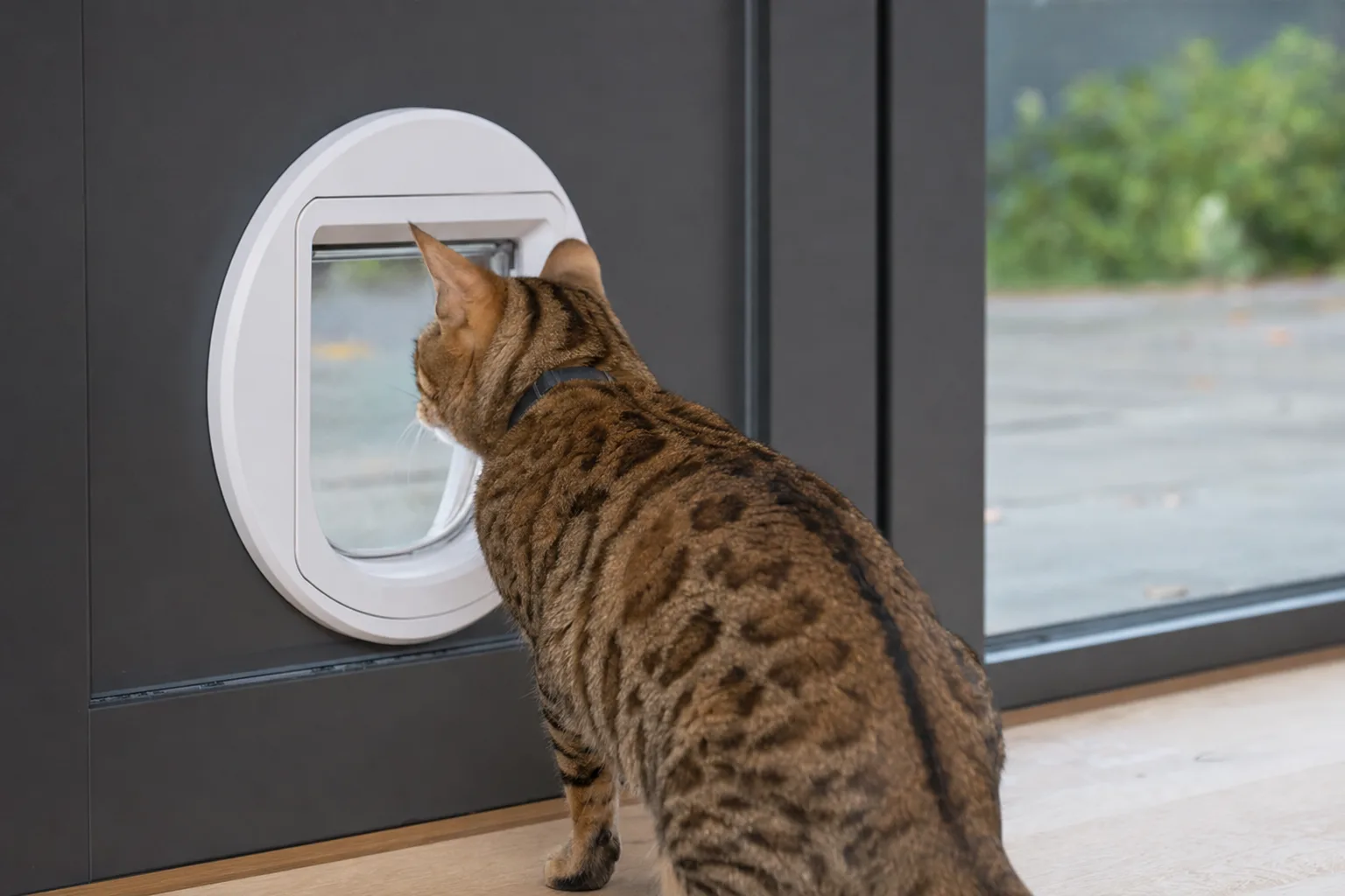 Chatière électronique avec caméra intégrée : pour ou contre ? — FAQ : Réponses à Vos Questions Fréquentes