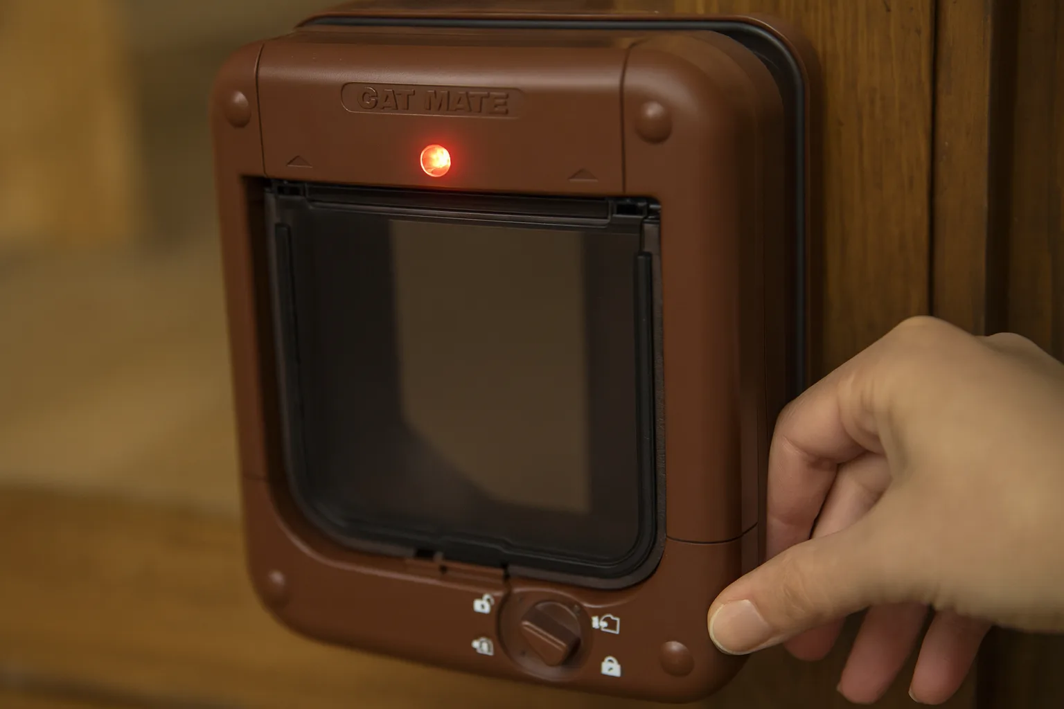 Cat Mate 360B Marron — Fonctions clés et personnalisation