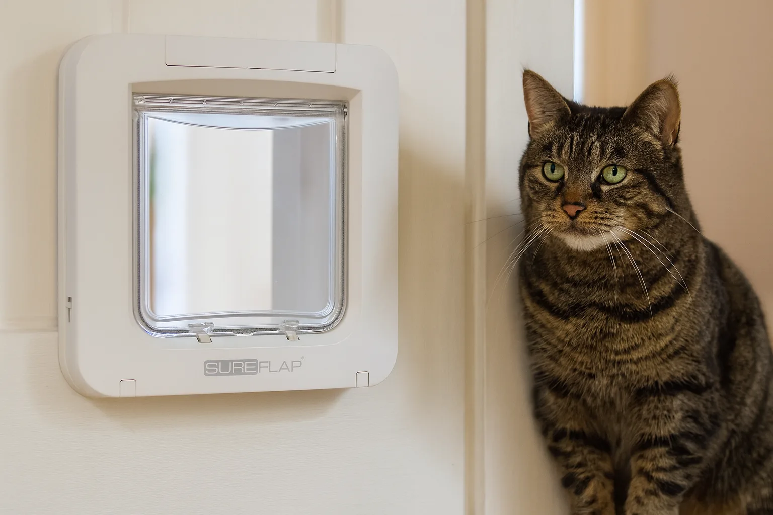 SureFlap Sure Petcare — Fonctions clés et personnalisation
